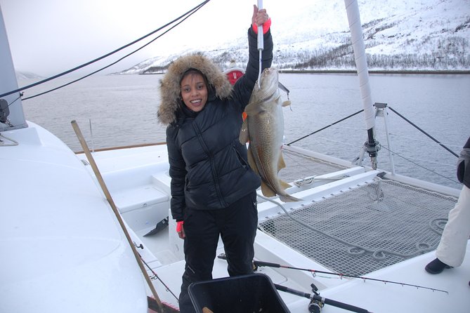 Fishing Trip with Luxury Catamaran in Tromso - Should you book the Tromsø fishing trip?