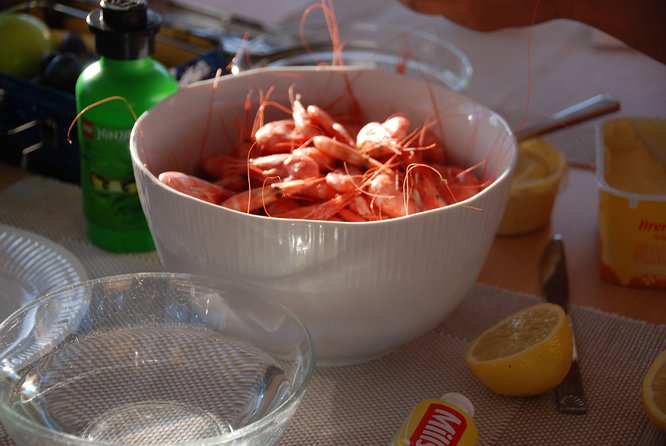 Fjord Cruise with Luxury Catamaran in Tromso - A fjord cruise with a fishing trip at its heart