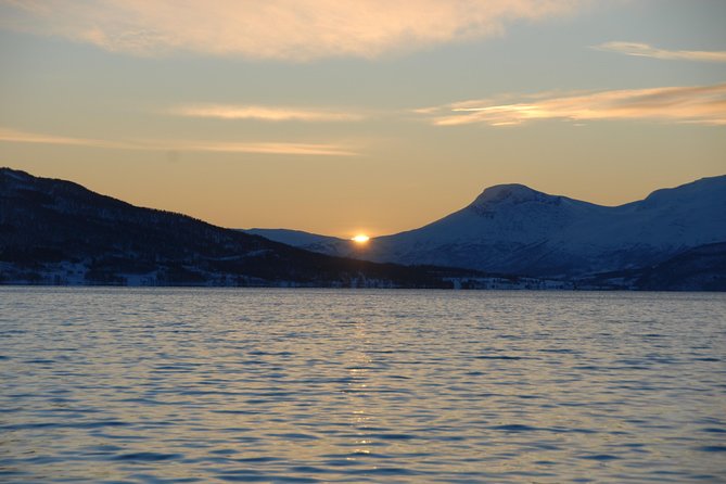 Fjord Cruise with Luxury Catamaran in Tromso - Skipper Per and the human side of the trip