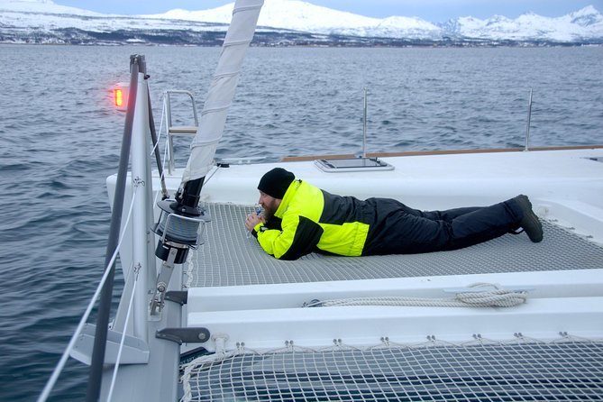 Fjord Cruise with Luxury Catamaran in Tromso - Comfort, waves, and what to wear