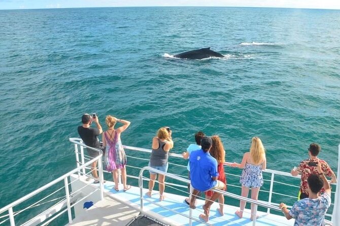 Flamingo Family Fun Catamaran Snorkel:Comfortable shaded seating - Leaving Playa Flamingo at 2 p.m.
