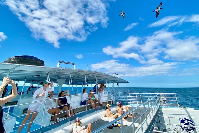 Flamingo Family Fun Catamaran Snorkel:Comfortable shaded seating - Snorkeling, swimming, and the waterslide