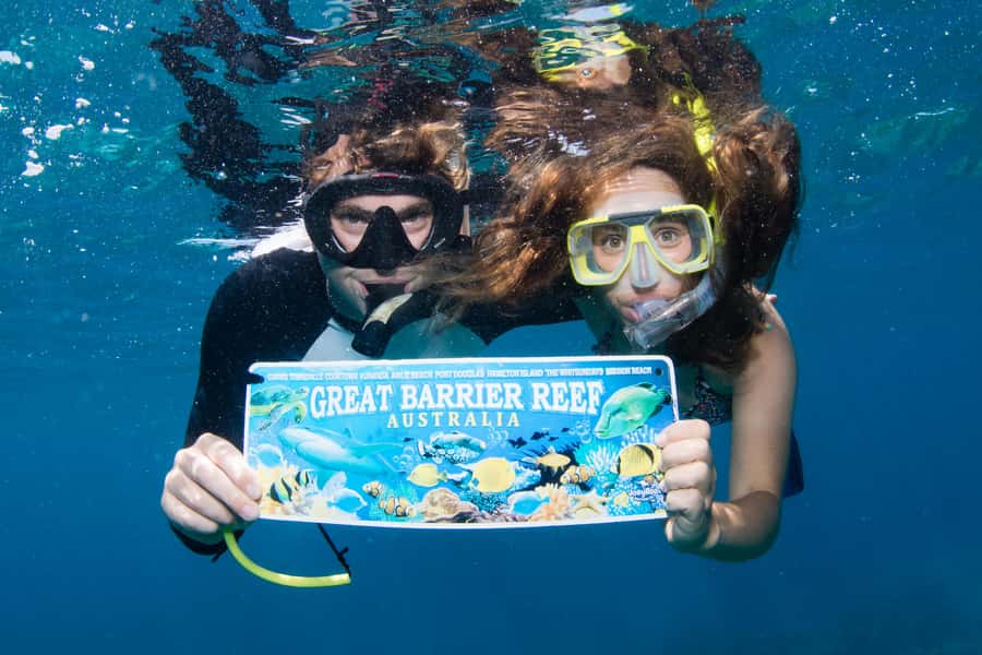 From Cairns: Great Barrier Reef Cruise by Premium Catamaran - Who should book this reef trip?