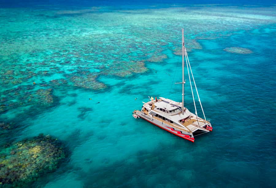 From Cairns: Great Barrier Reef Cruise by Premium Catamaran - What your first reef session feels like