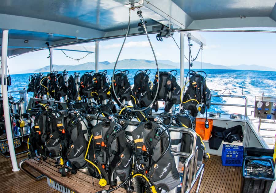 From Cairns: Great Barrier Reef Cruise by Premium Catamaran - Scuba options and medical rules