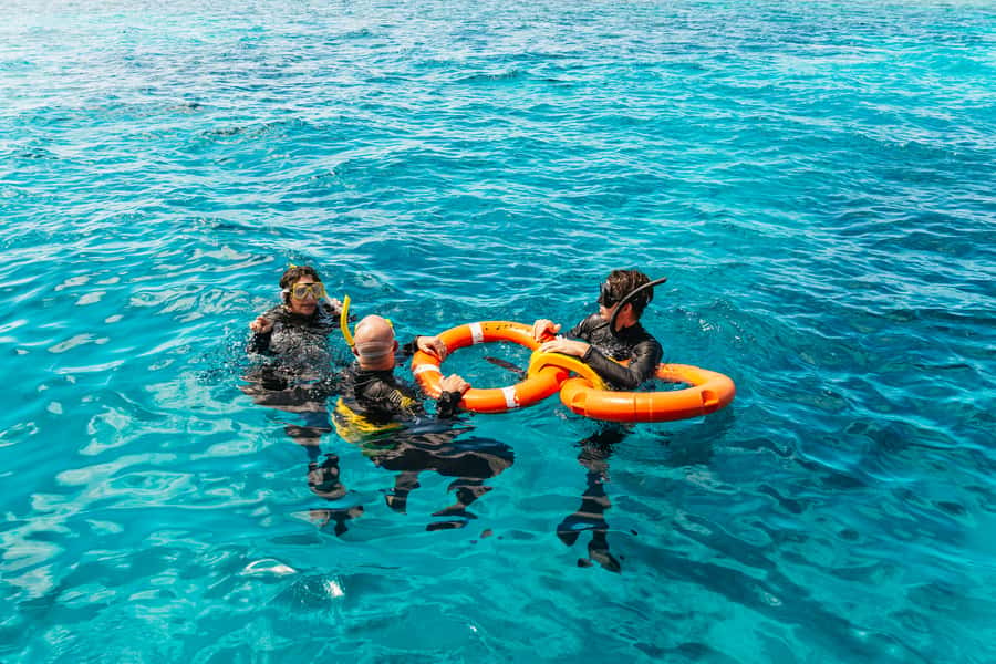 From Cairns: Great Barrier Reef Cruise by Premium Catamaran - A comfortable catamaran, with a long ride attached