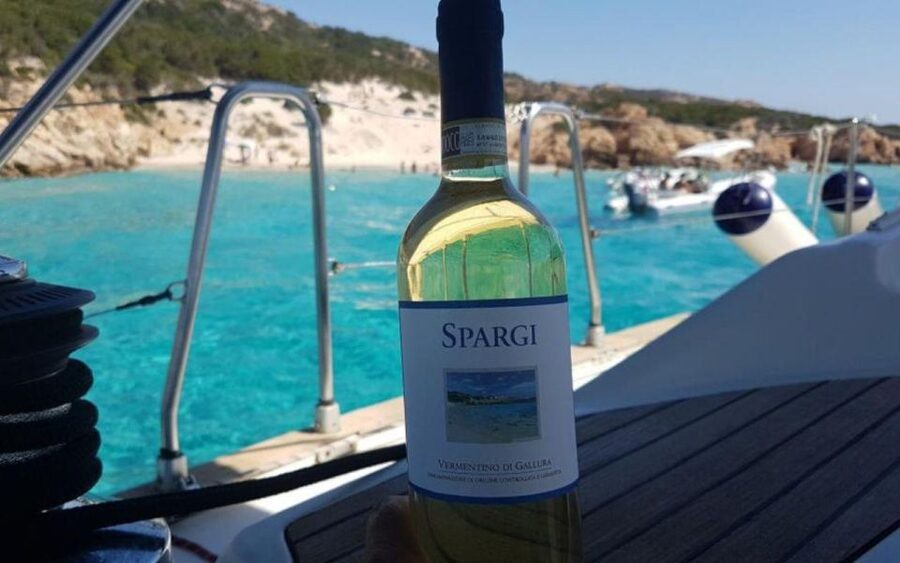 From Cannigione: Catamaran tour among La Maddalena islands - Practical preparation for the eight hours