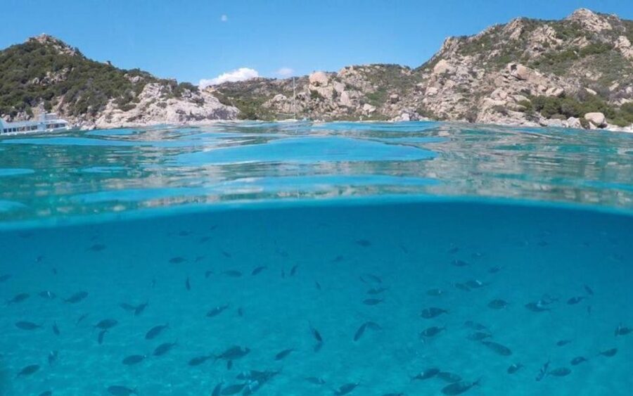 From Cannigione: Catamaran tour among La Maddalena islands - Is $173.89 a fair price?