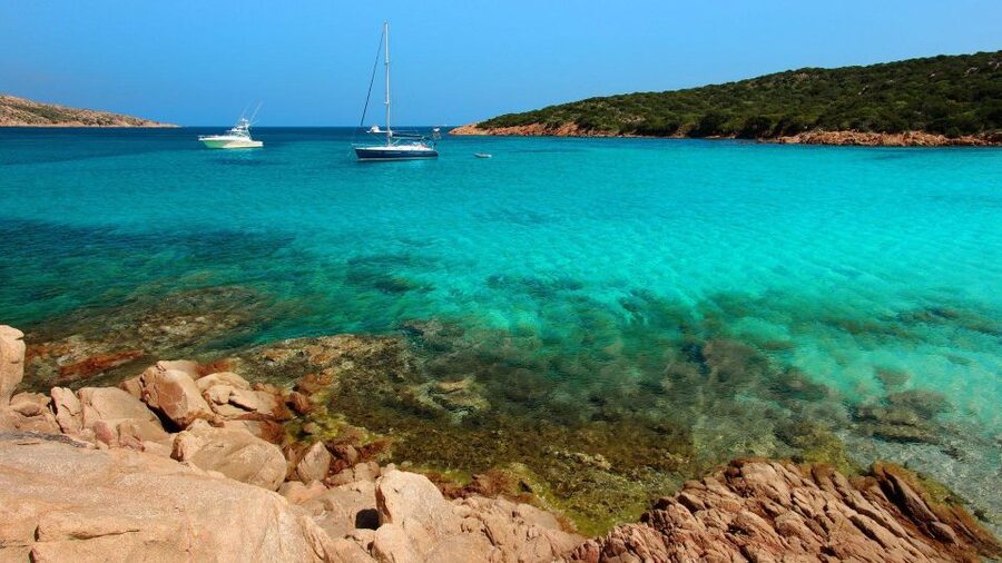From Cannigione: Catamaran tour in La Maddalena Archipelago - Who should book this day on the water?