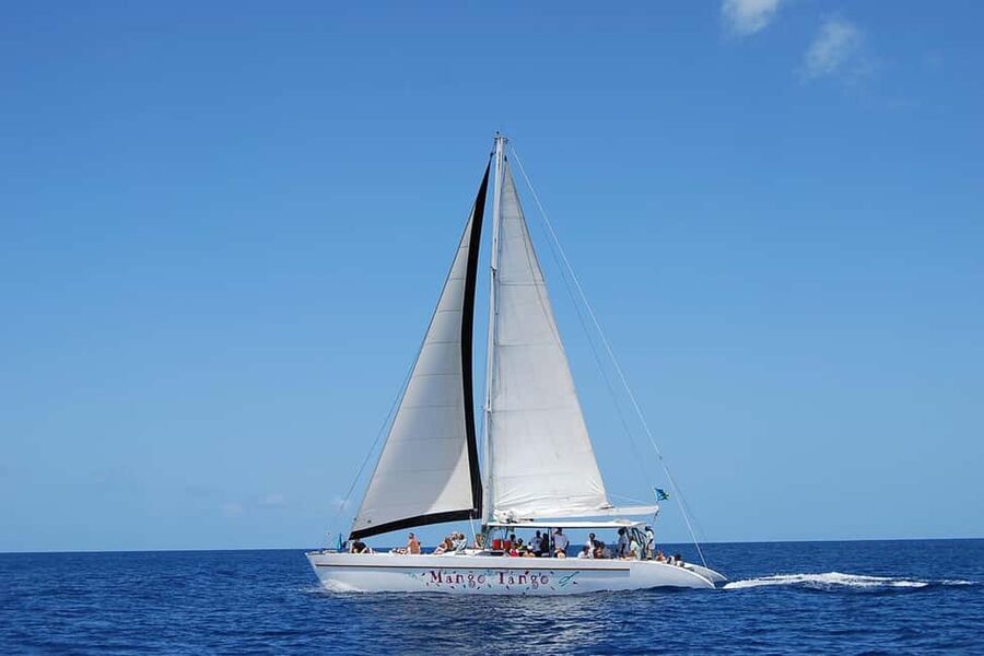 From Castries: Full-Day Catamaran Tour to Soufriere - Key points to know before booking