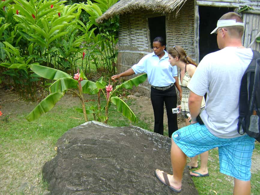 From Castries: Full-Day Catamaran Tour to Soufriere - The swim and snorkeling stop depends on the sea