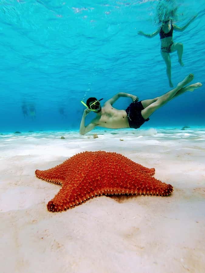 From Cozumel: El Cielo Beach by Catamaran Snorkeling Tour - A catamaran ride with food and drinks included