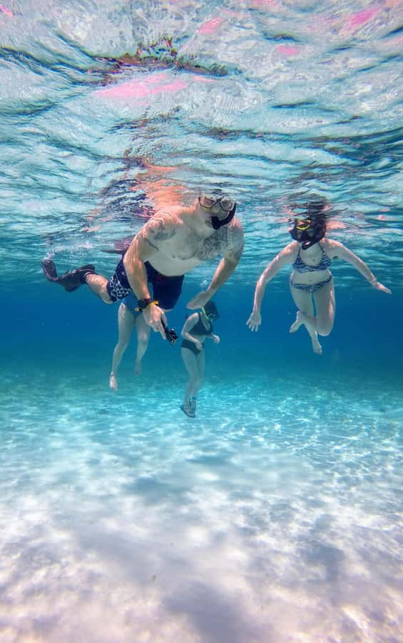 From Cozumel: El Cielo Beach by Catamaran Snorkeling Tour - Timing, meeting point, and cruise-port planning