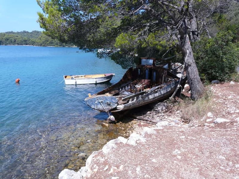From Dubrovnik: Mljet Island Guided Catamaran Day Tour - Key points at a glance