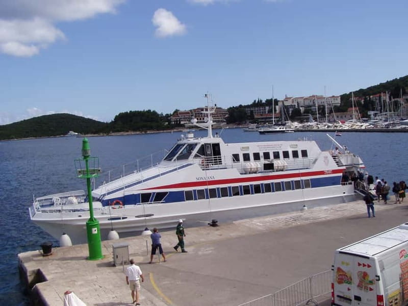 From Dubrovnik: Mljet Island Guided Catamaran Day Tour - From Gruž port to Mljet by catamaran