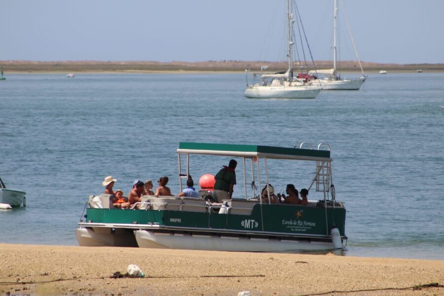 From Faro: 4 Stops, 3 Islands in Ria Formosa Catamaran Tour - Who should book this tour?