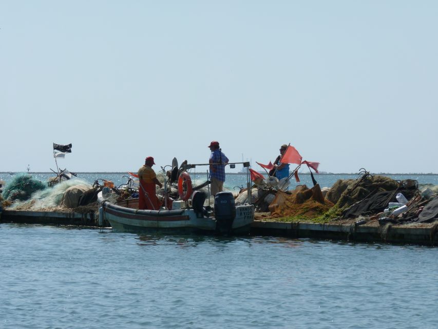 From Faro: 4 Stops, 3 Islands in Ria Formosa Catamaran Tour - Culatra Island: the day’s main stop
