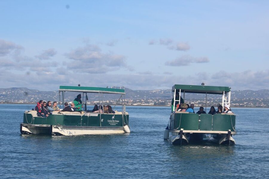 From Faro: 4 Stops, 3 Islands in Ria Formosa Catamaran Tour - Ilha Deserta: the quietest stop