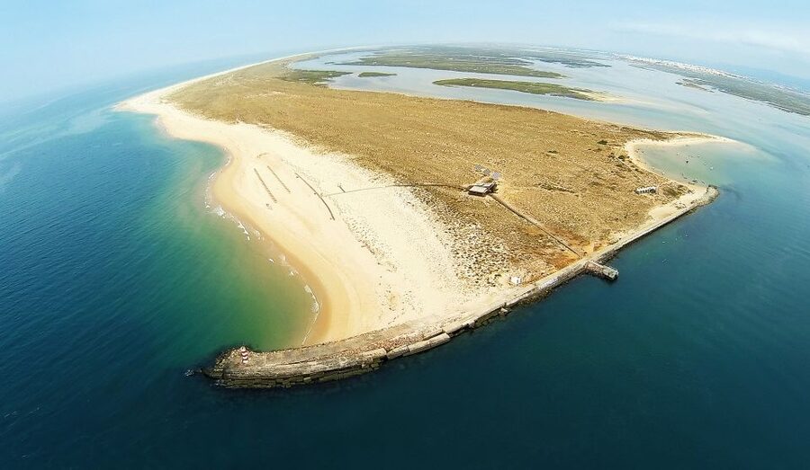 From Faro: Catamaran Boat Trip to Deserta Island with Stop - Should you book the Faro to Ilha Deserta boat trip?