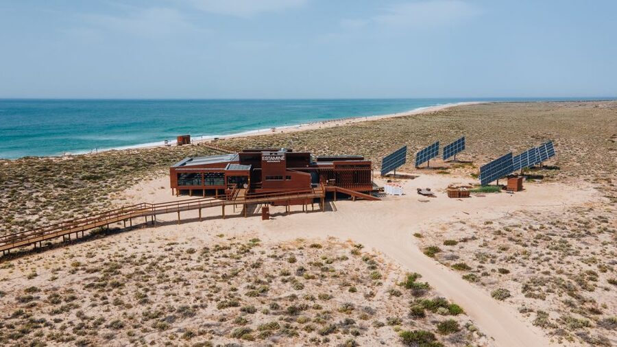 From Faro: Catamaran Boat Trip to Deserta Island with Stop - What makes Ilha Deserta special