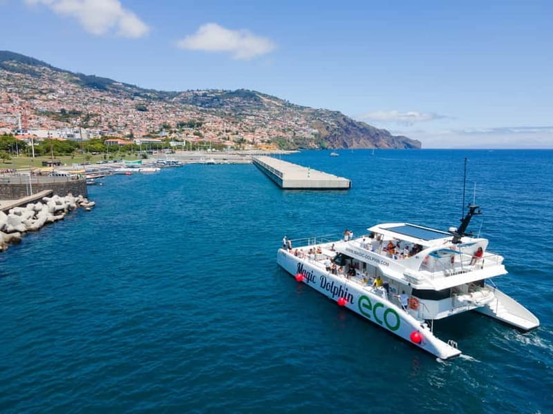 From Funchal: Ecological Catamaran Dolphin Whale Watching - Guide Commentary and Crew Conduct