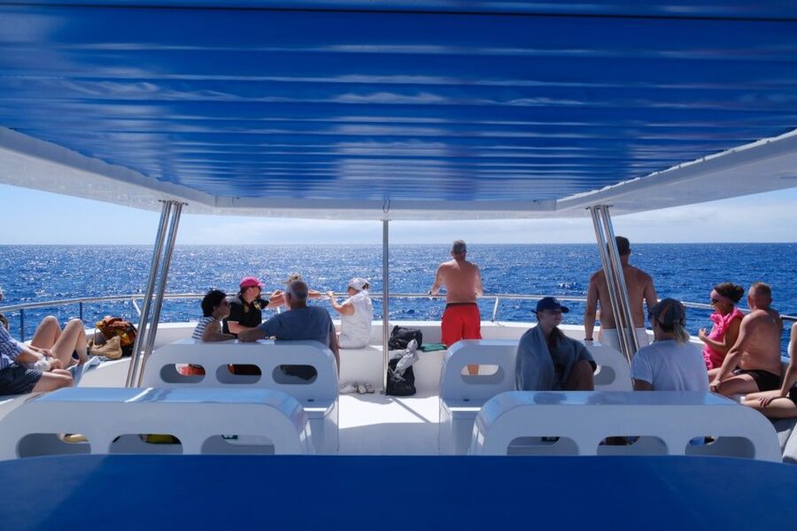 From Funchal: Ecological Catamaran Dolphin Whale Watching - Who Should Book This Boat Trip?