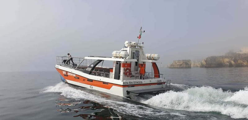 From Lagos: Benagil Caves Catamaran Cruise - The ride back along the Algarve coast