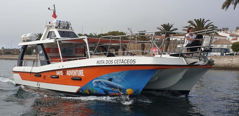 From Lagos: Benagil Caves Catamaran Cruise - Final call: a good coastal day for $47