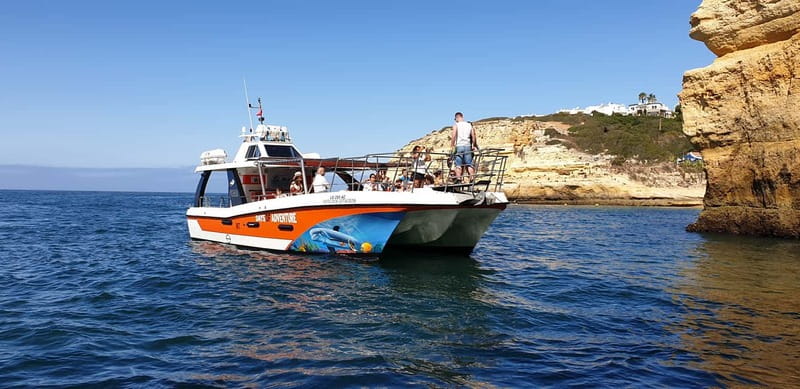 From Lagos: Dolphin Watching Catamaran Cruise - What this Lagos dolphin cruise is really like