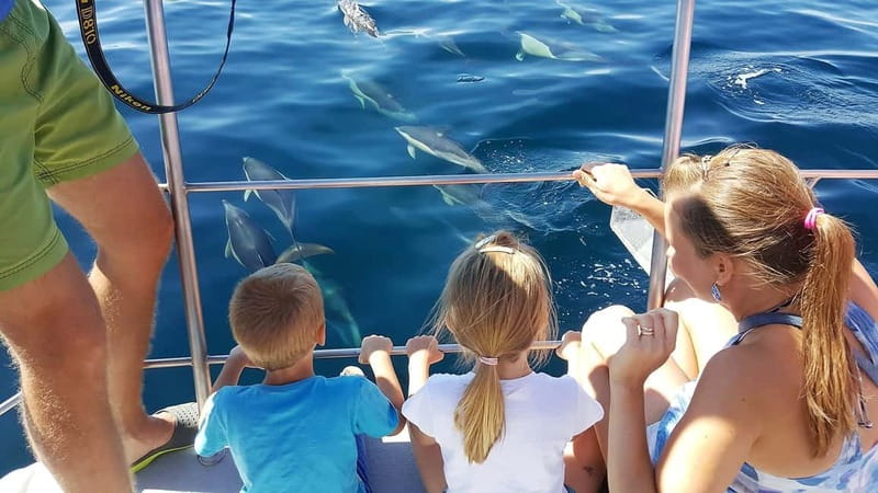 From Lagos: Dolphin Watching Catamaran Cruise - Choosing the best place on the catamaran
