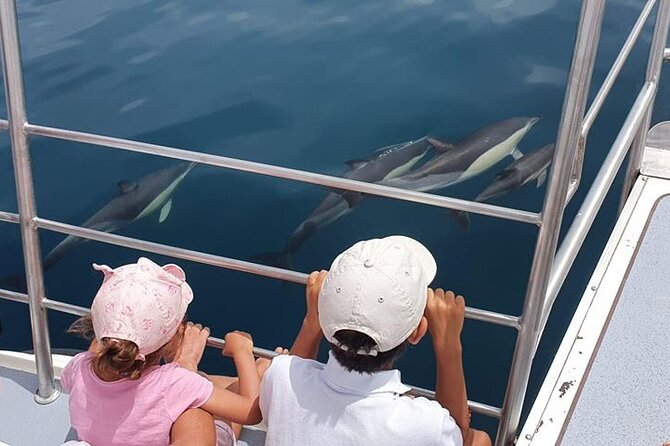 From Lagos: Dolphin Watching Cruise on a Catamaran - Key points at a glance