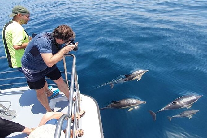 From Lagos: Dolphin Watching Cruise on a Catamaran - Leaving Marina de Lagos for the Atlantic