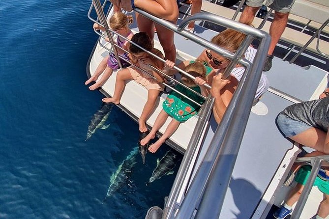 From Lagos: Dolphin Watching Cruise on a Catamaran - How rough can the sea be?