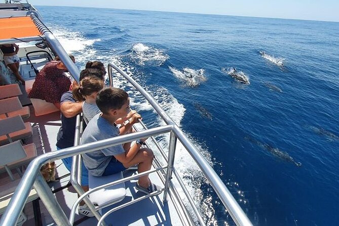 From Lagos: Dolphin Watching Cruise on a Catamaran - Is $48.39 a fair price?