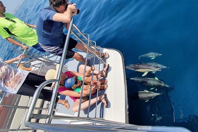 From Lagos: Dolphin Watching Cruise on a Catamaran - Families, accessibility, and practical comfort