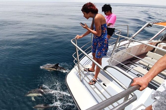 From Lagos: Dolphin Watching Cruise on a Catamaran - Timing, group size, and the best way to plan
