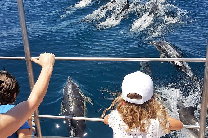 From Lagos: Dolphin Watching Cruise on a Catamaran - What the catamaran does well