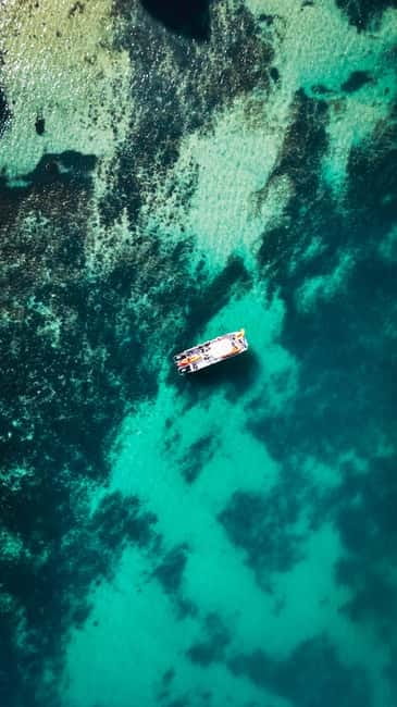 From Lagos: Ponta da Piedade Caves Kayak Tour from Catamaran - From Lagos Marina to the cliffs