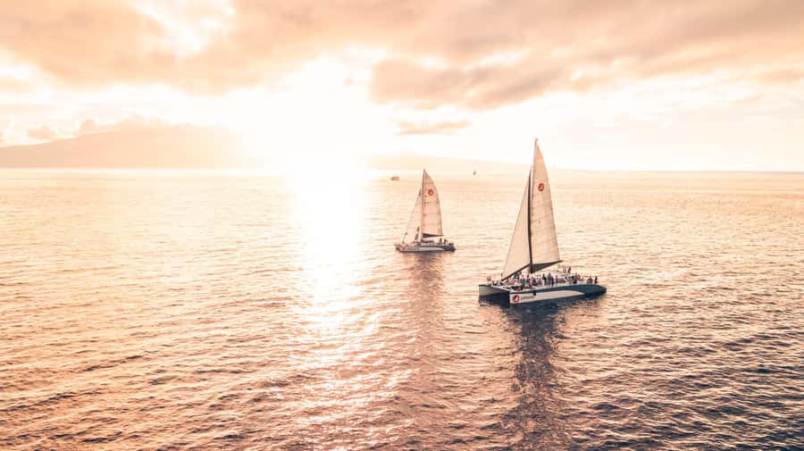 From Ma'alaea: 'Alihilani Sunset Sail Catamaran Tour - Dolphins, Seabirds, and Winter Humpback Whales
