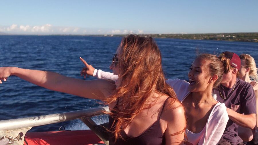 From Maalaea: Whale Watching Catamaran Cruise with Drinks - Simple preparation for a better boat ride