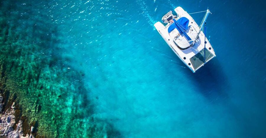 From Ornos: Mykonos Delos Catamaran Cruise with Meal & SUP - Rhenia provides the main swimming stop