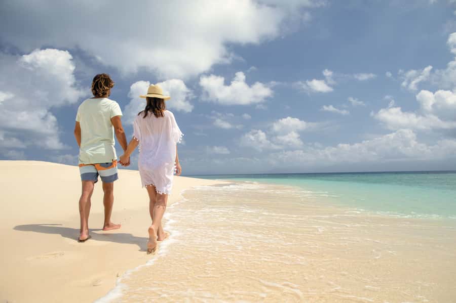 From Port Douglas: Outer Reef Cruise by Luxury Catamaran - How the guides shape the day