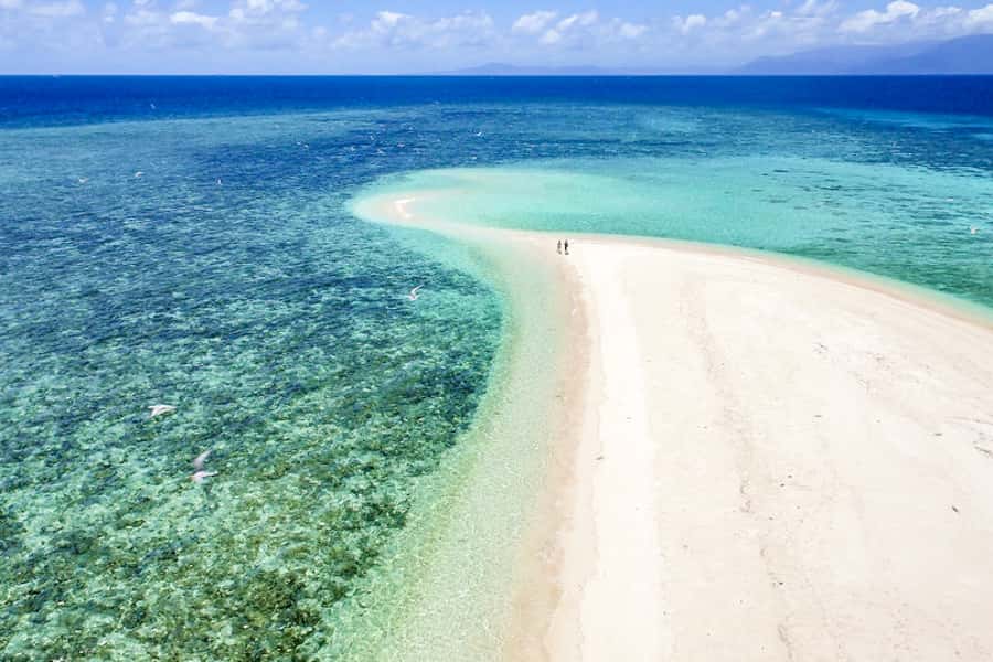From Port Douglas: Outer Reef Cruise by Luxury Catamaran - Weather, seasickness, and practical preparation