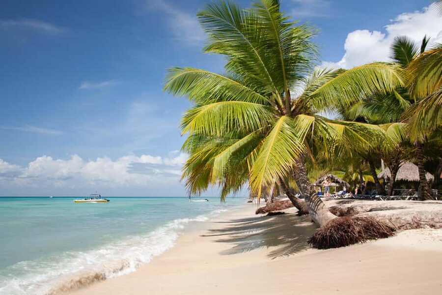From Punta Cana: Catamaran Tour to Saona Island with Open Bar and Buffet - The Catamaran Ride to Saona Island