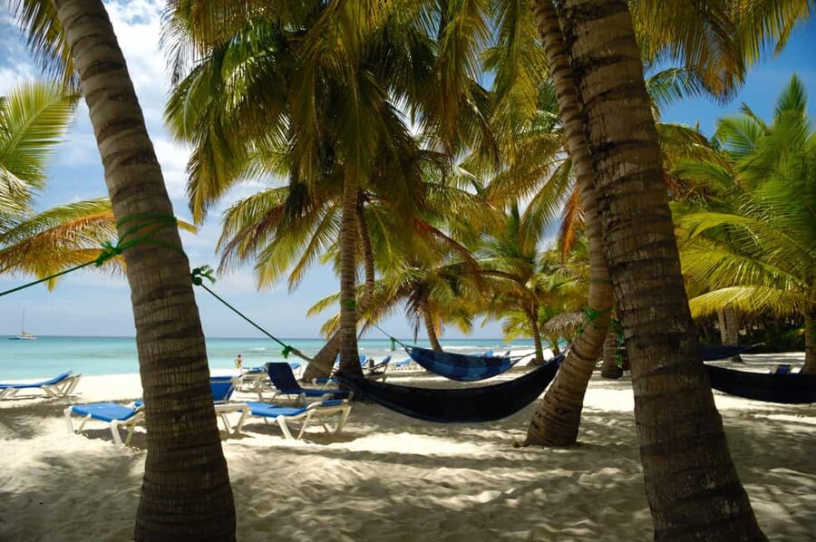 From Punta Cana: Catamaran Tour to Saona Island with Open Bar and Buffet - Dominican Lunch and the Open Bar