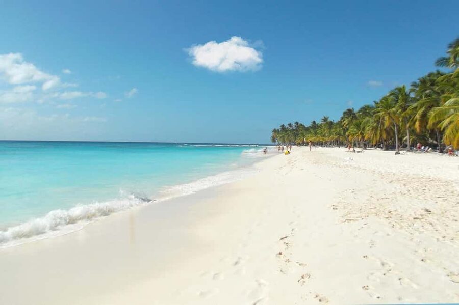 From Punta Cana: Catamaran Tour to Saona Island with Open Bar and Buffet - Who Should Book This Saona Excursion?
