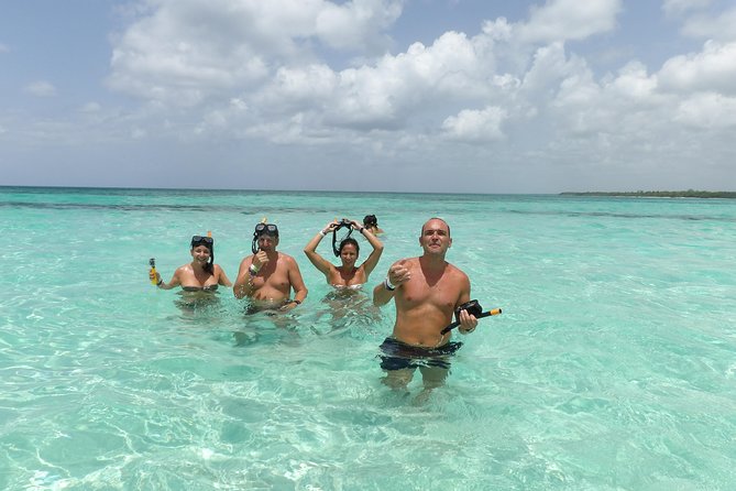 From Punta Cana: Saona Island Full Day For Small Group Catamaran - Key points to know before you book
