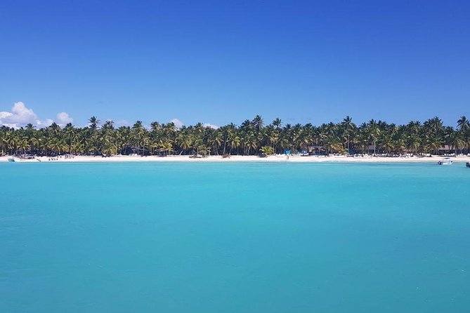 From Punta Cana: Saona Island Full Day For Small Group Catamaran - Catamaran time and the pace of the return