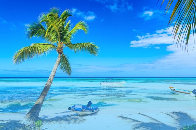 From Punta Cana: Saona Island Full Day For Small Group Catamaran - Hotel pickup and the transfer problem