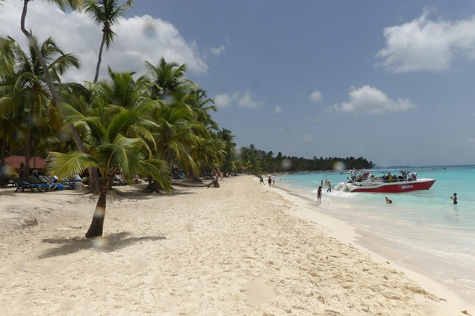 From Punta Cana: Saona Island Full Day For Small Group Catamaran - How the positive and negative reports fit together